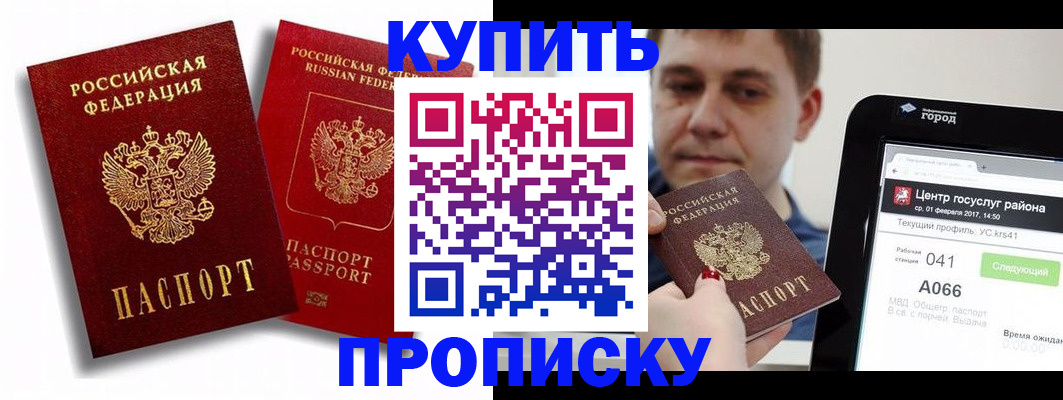 прописка регистрация в Курской области